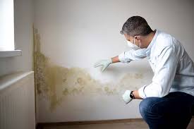 Professional Mold Removal & Remediation in St Marys, KS